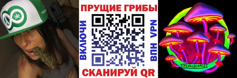 Галлюциногенные грибы Psilocybe  это телеграм  Берёзовский  OMG зеркало 